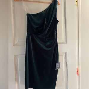 NWT beautiful emerald green velvet dress